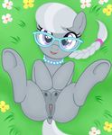  2015 anus cub cute earth_pony equine eyewear female feral flower friendship_is_magic fur glasses grass grey_fur hair horse looking_at_viewer lying mammal my_little_pony necklace nowhereman on_back open_mouth outside plant pony presenting purple_eyes pussy silver_spoon_(mlp) solo spread_legs spreading teats two_tone_hair young 