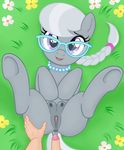  2015 anus bestiality cub duo earth_pony equine eyewear faceless_male female feral flower friendship_is_magic fur glasses grass grey_fur hair horse human human_on_feral interspecies looking_at_viewer lying male male/female mammal my_little_pony necklace nowhereman on_back open_mouth outside penis plant pony presenting purple_eyes pussy silver_spoon_(mlp) spread_legs spreading teats two_tone_hair young 