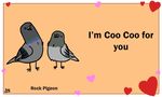  animated avian bird birdcheese black_eyes cute duo english_text holidays humor pidgeon pun text valentine&#039;s_day 