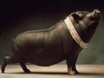  ambiguous_gender feral jewelry mammal nude pearls photography pig porcine pose presenting real 