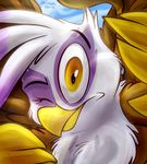  2014 avian brown_feathers friendship_is_magic gilda_(mlp) gryphon looking_at_viewer my_little_pony one_eye_closed thedoggygal white_feathers yellow_eyes 