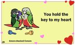  &lt;3 ambiguous_gender animated avian bird birdcheese black_eyes english_text holidays humor parrot pun text valentine&#039;s_day 