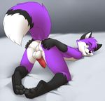  2015 animal_genitalia anus ass_up balls canine canine_penis fox fur jailbird knot looking_at_viewer looking_back lying male mammal on_front penis presenting purple_fur raised_tail 