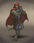  abs anthro biceps big_muscles cloak clothed clothing knife lion21 lizard male muscles reptile scalie solo standing weapon 