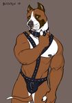  2015 anthro avoid_posting bdsm blickfen canine dog looking_at_viewer male mammal nipples solo 