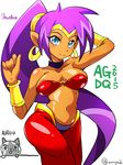  arabian_clothes bandeau bare_shoulders blue_eyes breasts choker dark_skin earrings harem_pants highres hoop_earrings jewelry large_breasts long_hair midriff navel pants pointy_ears ponytail purple_hair shantae:_half-genie_hero shantae_(character) shantae_(series) smile solo tiara very_long_hair zasshu_nigou 