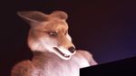  2015 angry animated anthro canine computer english_text fox fur male mammal open_mouth reaction_image shocked solo taurin_fox teeth text 