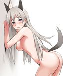  against_wall animal_ears ass blue_eyes blush breasts cowboy_shot eila_ilmatar_juutilainen from_side long_hair looking_at_viewer medium_breasts nipples nude open_mouth pussy_juice silver_hair solo strike_witches tail tears very_long_hair world_witches_series youkan 