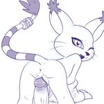  anus bandai butt cat claws digimon disembodied_penis feline female gatomon gloves lonbluewolf looking_at_viewer male male/female mammal nude penis prodding pussy tail_ring vaginal whiskers 
