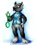 2018 041744 canine collar dog featureless_crotch german_shepherd harness leash mammal solo tongue 