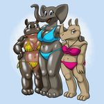  2015 anthro big_breasts bikini breasts carelessdoodler chubby cleavage clothed clothing elephant female group hippopotamus looking_at_viewer mammal navel open_mouth plain_background rhinoceros serious skimpy smile stocky swimsuit 