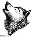  2015 blackteagan canine chain collar ear_piercing eyes_closed feral howl male mammal piercing sketch solo wolf 