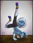  2015 aliatheavensbow anthro black_hair blue_fur canine clothed clothing curled_tail dog facial_piercing fur hair half-dressed handstand husky invalid_color male mammal nose_piercing nose_ring piercing rainbow socks sparklepaws topless yoga 