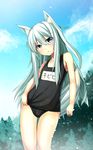  animal_ears bad_id bad_pixiv_id bare_shoulders black_swimsuit blue_eyes blue_sky blush cloud cloudy_sky day fox_ears fox_tail hair_between_eyes hibiki_(kantai_collection) kantai_collection long_hair name_tag one-piece_swimsuit reitsuki_kazuma school_swimsuit silver_hair sky solo swimsuit tail 