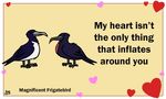  &lt;3 ambiguous_gender animated avian bird birdcheese duo english_text holidays text valentine&#039;s_day 