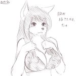  anthro big_breasts bra breasts clothing female fur hair kemono mammal plain_background tagme underwear yus-ts 