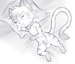  balls cat cub cute feline mammal meraence skynex sleepingpenis young 