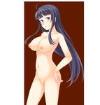  1girl areolae black_hair blue_eyes blush breasts censored club_d female game_cg hand_on_hip highres honda_naoki large_breasts legs long_hair looking_at_viewer navel nipples nude pussy simple_background solo standing thighs watarai_mikoto 