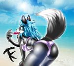  2015 anthro beach bent_over bikini black_fur blue_eyes blue_hair bra breasts bust butt canine clothed clothing cloud cute dog female frisbee fur grey_fur ha-nul hair husky looking_at_viewer looking_back mammal raised_tail sand seaside sky solo swimsuit tailzkim teeth underwear water white_fur 