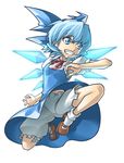  bad_id bad_pixiv_id bloomers blue_eyes blue_hair cirno ioridonmax13 jumping solo touhou underwear wings 