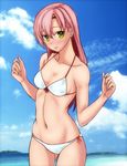  akira_(yuibnm71) bikini green_eyes hayate_no_gotoku! highres katsura_hinagiku long_hair pink_hair solo standing swimsuit 
