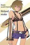  animal bare_shoulders belt bikini_top breasts choker cleavage collarbone denim denim_shorts detached_sleeves groin large_breasts light_brown_hair mazeran navel open_fly original personification red_eyes short_hair shorts snake solo striped unzipped 