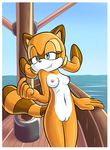  anthro boat breasts female goshaag mammal marine_the_raccoon nipples nude pinup pose pussy raccoon sea sega smirk sonic_(series) water 