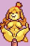  animal_crossing animated canine dog female isabelle_(animal_crossing) mammal nintendo pixel_art rexsarus sex video_games 