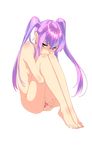  barefoot blue_eyes clitoris derivative_work full_body highres leg_hug legs long_hair looking_at_viewer nail_polish nude original purple_hair pussy sitting solo spread_pussy toenail_polish transparent_background twintails uncensored zimu_jiang 