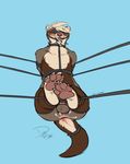  anus balls bdsm blindfold bondage bound dog-bone drooling ferret gag gaping gaping_anus male mammal mustelid paws saliva solo 