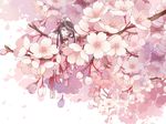  black_hair blue_eyes boots cherry_blossoms flower in_tree japanese_clothes long_hair minigirl original petals shirona smile solo tree 