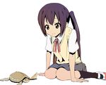  arm_support bad_id bad_pixiv_id black_hair brown_eyes girock k-on! long_hair nakano_azusa neck_ribbon red_ribbon ribbon school_uniform simple_background sitting smile socks solo ton-chan turtle twintails wariza 