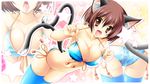  animal_ears ass bikini blue_legwear breasts brown_eyes brown_hair cameltoe cat_ears cat_tail chen cleavage earrings front-tie_top highres jewelry kamiya_tomoe large_breasts multiple_tails nekomata o-ring o-ring_top older open_mouth short_hair side-tie_bikini skindentation star swimsuit tail thighhighs tongue tongue_out touhou trefoil zoom_layer 