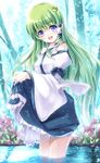  :d bare_shoulders blue_eyes detached_sleeves flower frog green_hair hair_ornament kochiya_sanae long_hair miyase_mahiro open_mouth skirt skirt_hold smile snake solo touhou wading water 