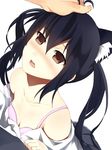  animal_ears black_hair blush bra brown_hair cat_ears downblouse highres k-on! lingerie long_hair nakano_azusa petting pov solo_focus twintails underwear yamamoto_tama 