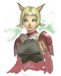  animal_ears armor blonde_hair blue_eyes breasts commentary face facial_mark final_fantasy final_fantasy_xi large_breasts mithra quot scorpion_harness short_hair sideboob smile solo twintails upper_body 
