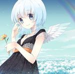  cloud day flower lowres original rainbow solo tiv wings 