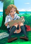  against_tree black_legwear blush brown_eyes brown_hair drawing hanaosutarou kneehighs loafers mouth_hold original panties pantyshot pencil pigeon-toed school_uniform shoes sitting skirt solo striped striped_panties tree tree_shade underwear wooden_pencil 