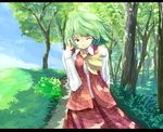  adjusting_hair ascot bad_id bad_pixiv_id forest grass green_hair kazami_yuuka letterboxed nature one_eye_closed plaid plaid_skirt plaid_vest red_eyes short_hair skirt skirt_set solo touhou tree vest wind you_shimizu 
