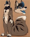  2015 anthro big_tail black_fur black_hair blue_eyes blue_hair brown_fur canine chest_turf claws dog fur hair looking_at_viewer male mammal model_sheet nude open_mouth pawpads paws royalty_(artist) smile solo teeth tongue white_fur 