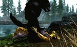  anal anal_penetration animated anthro argonian canine horn interspecies lying male male/male mammal nature omegaz penetration penis scalie sitting the_elder_scrolls the_elder_scrolls_v:_skyrim video_games water were werewolf 