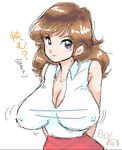  breasts brown_hair female huge_breasts long_hair lupin_iii mine_fujiko solo 