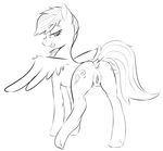  2015 butt cutie_mark equine female friendship_is_magic horse lewdhorses looking_back mammal my_little_pony nude pegasus presenting presenting_hindquarters pussy rainbow_dash_(mlp) raised_tail sketch smile solo wings 