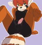  anthro anus balls blush butt erection green_eyes hair looking_away male mammal mix nude open_mouth paws penis plain_background red_hair red_panda shy solo spix spread_legs spreading 