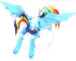  2015 absurd_res anus bite blue_fur butt cloud cutie_mark equine female feral friendship_is_magic fur hair hi_res mammal multicolored_hair my_little_pony oddwarg pegasus plain_background pussy pussy_juice rainbow_dash_(mlp) rainbow_hair solo white_background wings 