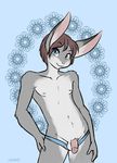  2015 anthro balls blue_eyes blush brown_hair clothed clothing flaccid fur girly grey_fur hair half-dressed humanoid_penis lagomorph logitech looking_at_viewer male mammal nipples penis pink_nose rabbit simple_background smile solo spix teeth topless underwear 