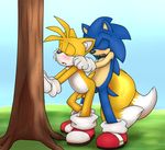  2015 against_tree anal anal_penetration anthro balls blush canine emerald-physics eyes_closed fox hedgehog jeffybunny_(artist) male male/male mammal miles_prower open_mouth penetration penis sega sex sonic_(series) sonic_the_hedgehog tree uncut 