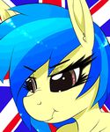  animated blue_hair equine fan_character female flag friendship_is_magic frown fur hair half-closed_eyes horse mammal my_little_pony pony replica_(artist) scrunchy_face solo two_tone_hair vibrating yellow_fur 