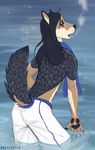  2015 anthro back black_hair brown_eyes brown_fur butt canine cigarette clothed clothing cute delilittle fangs fur hair half-dressed jackal looking_back male mammal moon night open_mouth pawpads paws presenting raised_tail scarf shorts smoking solo star swimming topless water 