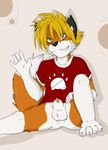  animal_genitalia anthro balls blonde_hair canine canine_penis clothing cub fox hair looking_at_viewer male mammal penis shirt smile solo stripes young 